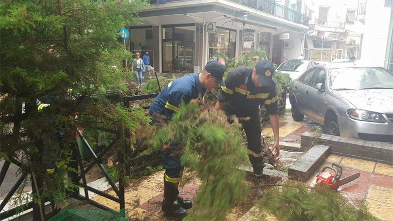 Λάρισα: Δέντρο έπεσε σε αυτοκίνητα από την κακοκαιρία (εικόνες)